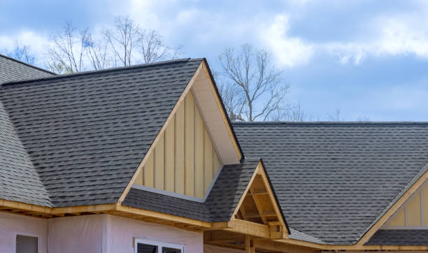 Best Roof Leak Repair  in Dulce, NM
